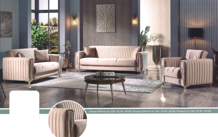 Abidjan Confort: Luxe Signé Salon – Image 3